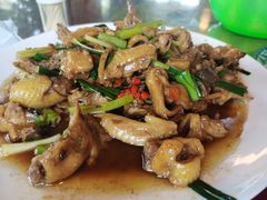 -生态苑农庄(十里画廊遇龙河店)