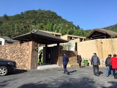 -看见远方·莫干遥远的山民宿
