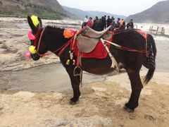 -陕西黄河壶口瀑布旅游区