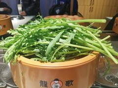 -龍歌自助小火锅(市南金茂湾店)