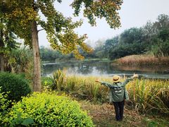 -白鹭湾湿地公园