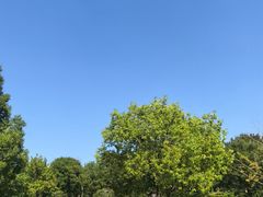 -滨湖塘西河公园