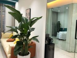 -KeCare科颜精准护肤