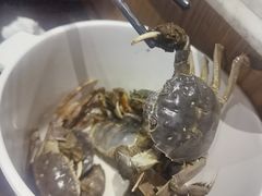 -川骄海鲜自助(河东店)