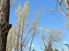 -野鸭湖国家湿地公园