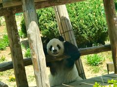 -大连森林动物园