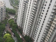 -新湖明珠城