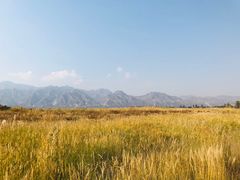 -敕勒川草原文化旅游区