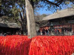-红螺寺