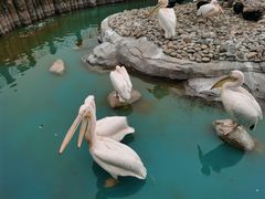 -大连老虎滩海洋公园