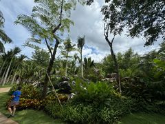 -西双版纳傣族园