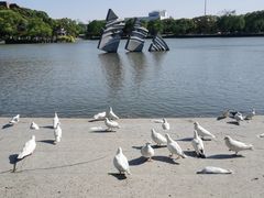 -上海交通大学(闵行校区)