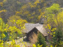 -九如山休闲旅游度假区