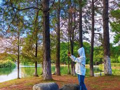 -白塘生态植物园