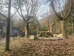 -都江堰中华大熊猫苑