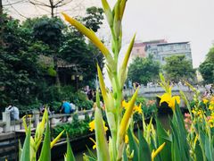 -黄埔古港