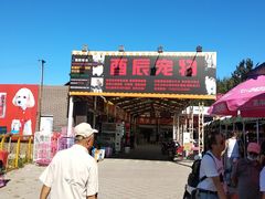 -中环花鸟鱼虫市场