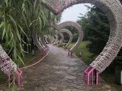 -莫子山公园
