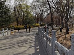 景点-朝阳公园