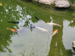 -三里河公园