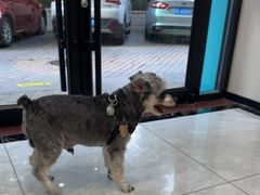 -安安宠医宠物医院·异宠·犬猫内科(岳阳分院)