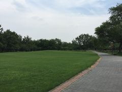 -御林古桑园