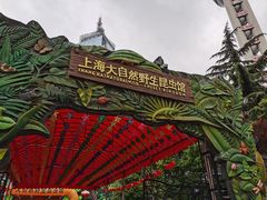 -上海大自然野生昆虫馆(东方明珠·爬宠昆虫探索中心)