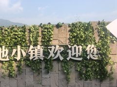 -腾冲北海湿地
