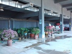 -北京长城阳光山谷马术俱乐部