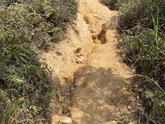 -梧桐山风景名胜区