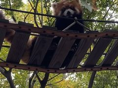 -上海野生动物园
