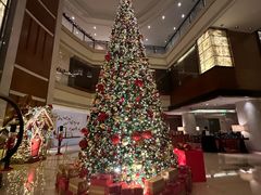 -深圳星河丽思卡尔顿酒店