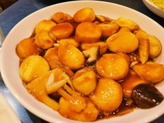 红烧日本豆腐-聚友朋褡裢火烧(天北路店)