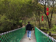 -石台牯牛降景区
