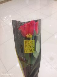 -Cocodemer女性健康·产后恢复(天一广场店)
