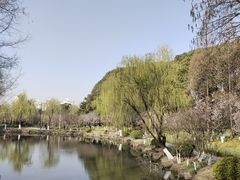 -大宁公园