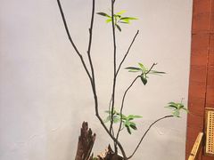 -雲說·花(西宸天街店)