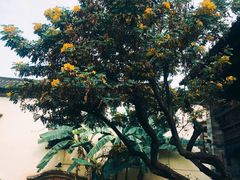 -香满楼(临安路店)