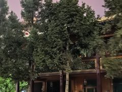-西宁市东关清真大寺