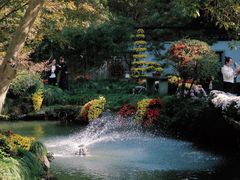 -杭州植物园