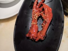 -佬肥猫(国华广场店)