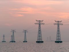 -宝安西湾红树林湿地公园