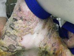 -康乐宝动物医院