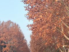 -东华大学(松江校区)