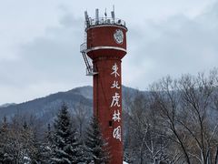 -横道河子东北虎林园