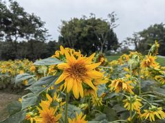 -玄武湖景区-情侣园游乐场