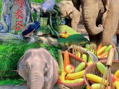-中国科学院西双版纳热带植物园