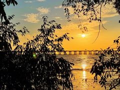 -宝安西湾红树林湿地公园