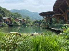 -杭州开元森泊度假乐园