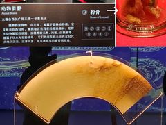 -北京大葆台遗址博物馆